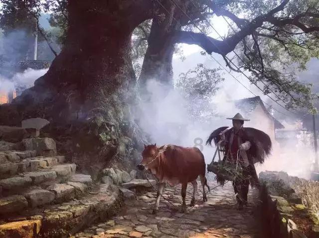 圣诞老人搭末班车4