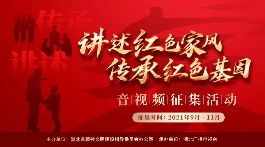 金晨,嫁不出去的真正原因是过高要求!真相泣人婚姻条件?